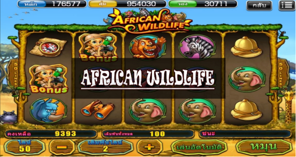 อันดับ 7 AFRICAN WILD LIFE