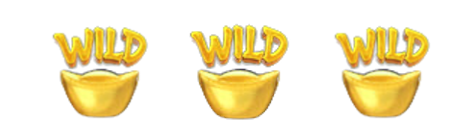 Wild Symbol 