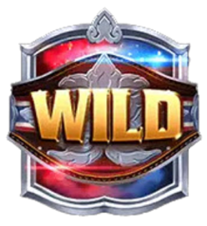  สัญลักษณ์ Wild