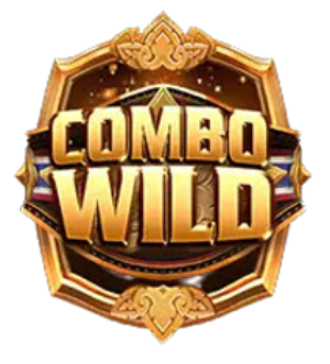 สัญลักษณ์ Wild Combo