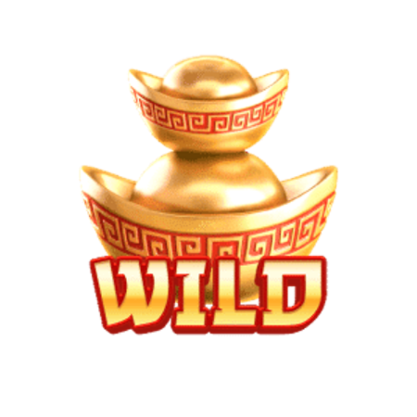 Wild Symbol