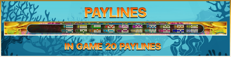 PAYLINES