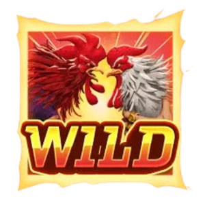 สัญลักษณ์ Wild