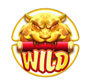 สัญลักษณ์ Wild